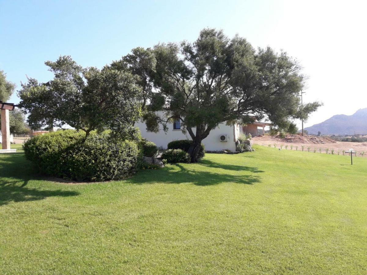 B&B Majore Ольбия Экстерьер фото